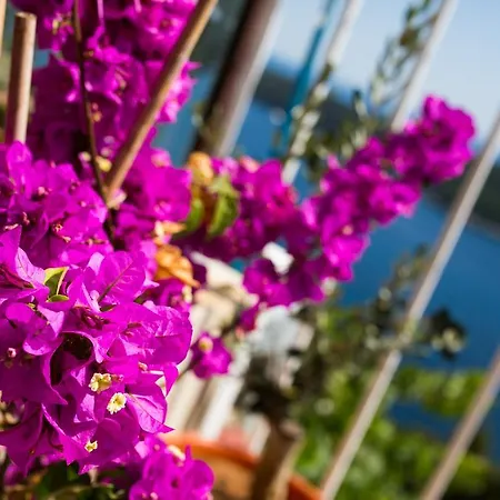 And Hope 3* ドゥブロブニク